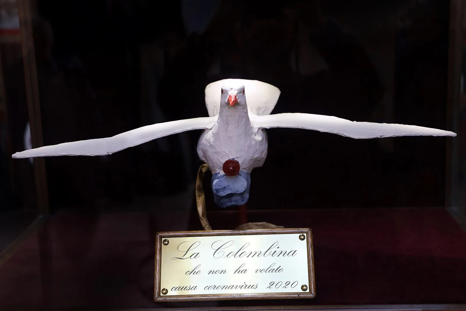 La colombina dello Scoppio del Carro di Firenze conservata in una teca